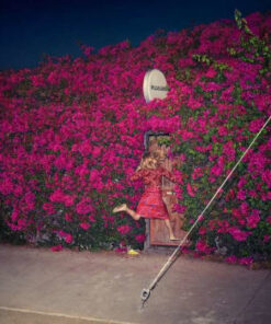 Feist: Pleasure (CD)