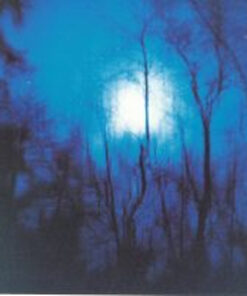 Flying Saucer Attack: Further (LP)