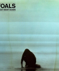 Foals: What Went Down (CD+DVD)