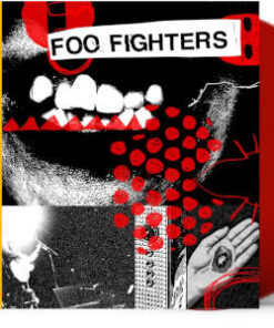 Foo Fighters: Your Favorite Toy - Red Vinyl (LP)