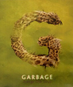Garbage: Strange Little Birds (2LP)