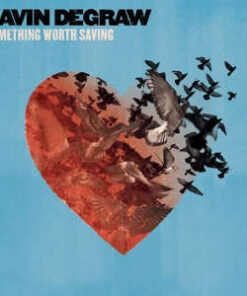 Gavin Degraw: Something Worth Saving (CD)