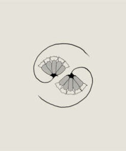 Godspeed You! Black Emperor: G_d's Pee At State's End! (LP+10'')