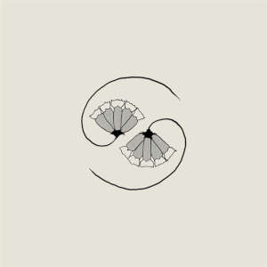 Godspeed You! Black Emperor: G_d's Pee At State's End! (LP+10'')