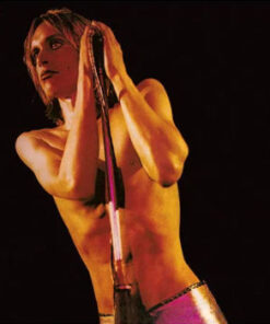 Iggy & The Stooges: Raw Power (CD)