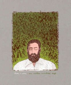 Iron & Wine: Our Endless Numbered Days (LP)