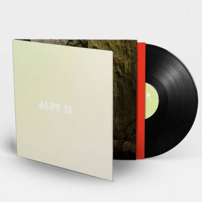 Jarvis...: Beyond the Pale (LP)