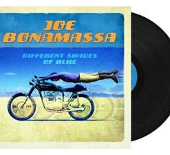 Joe Bonamassa: Different Shades Of Blue (LP)
