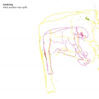 Lambchop: What Another Man Spills (2LP)
