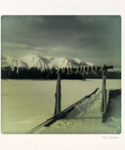 M.C. Hansen: From Whitehorse To The Crow's Nest (LP)