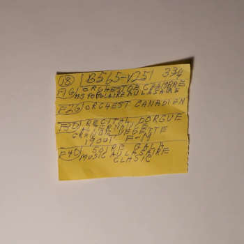 Mac Demarco: Other Here Comes The Cowboy Demos - RSD 2020 (LP)