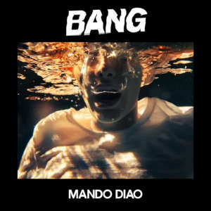 Mando Diao: Bang (LP)
