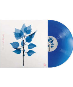 Matt Berninger: Get Sunk (LP)
