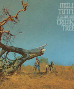 Molly Tuttle & Golden Highway: Crooked Tree (CD)