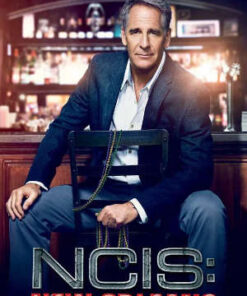 NCIS: New Orleans - Sæson 4 (DVD)