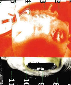 Pixies: Head Carrier (LP)