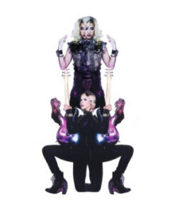 Prince & 3rdeyegirl:  Plectrumelectrum (CD)