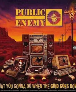 Public Enemy: What You Gonna Do When The Grid Goes Down (LP)