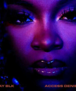 Ray BLK: Access Denied (LP)
