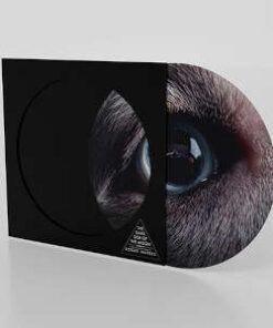Roger Waters: Dark Side of the Moon Redux - Picture Disc (Vinyl)