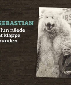 Sebastian: Hun Nåede At Klappe Hunden (LP)