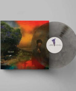 Sharon Van Etten: We've Been Going About This All Wrong - Marbled Smoke Vinyl (LP)