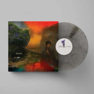 Sharon Van Etten: We've Been Going About This All Wrong - Marbled Smoke Vinyl (LP)