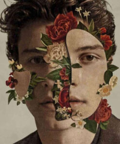 Shawn Mendes: Shawn Mendes - Deluxe (CD)