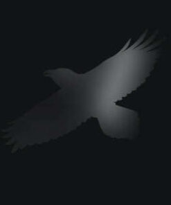 Sigur Rós: Odin's Raven Magic (2LP)