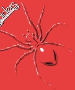 Spiders From Mars: Spiders From Mars (LP)