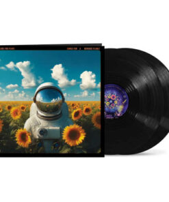 Tears For Fears: Songs For A Nervous Planet (2LP)