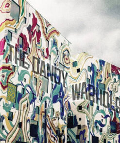 The Dandy Warhols: Why You So Crazy (LP)