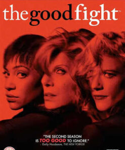The Good Fight - Season 2 (DVD)