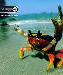 The Prodigy: Fat Of The Land (2LP)