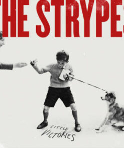 The Strypes: Little Victories (LP)