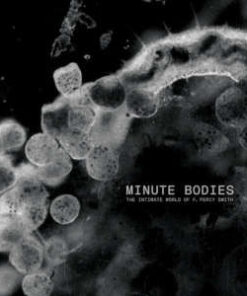 Tindersticks: Minute Bodies: the Intimate World of F. Percy Smith (LP+DVD)