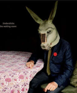 Tindersticks: The Waiting Room (CD)