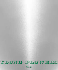 Young Flowers: No 2 (LP)