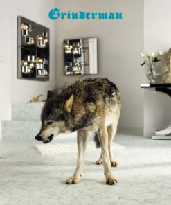 Grinderman: Grinderman 2 (LP)
