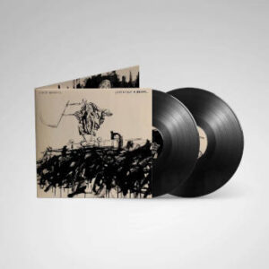Avenged Sevenfold: Life Is But a Dream (2LP)