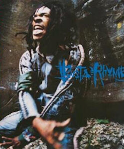 Busta Rhymes: When Disaster Strikes (LP)