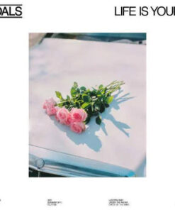 Foals: Life Is Yours (LP)