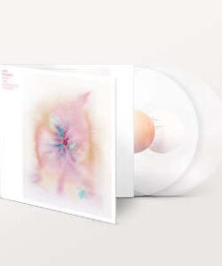 Jon Hopkins: Music for Psychedelic Therapy (2LP)