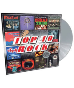 Various: Top 40 Rock (LP)